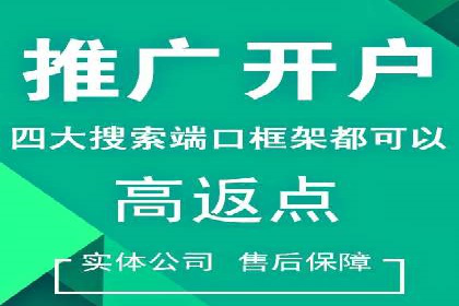 信息流广告投放公司案例深度解读